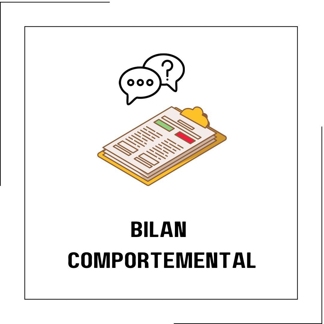 Bilan Comportemental - Oceandogs